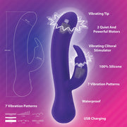 The Majestic Swan Special Edition - Lila