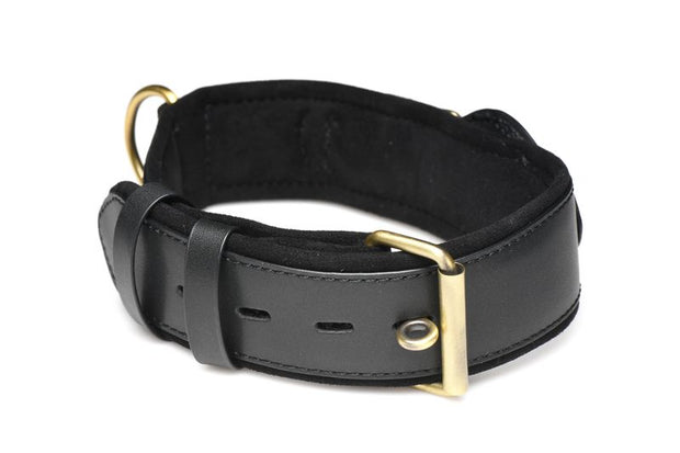 Ortungshalsband - Schwarz