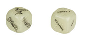 Love Dice Kamasutra Glow in the Dark Set - Englische Version