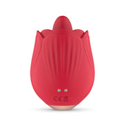 Teazers Rose Vibrator - Lecken und Vibrieren