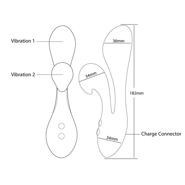 Swan - The Silhouette Swan Pink