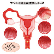 Kokos - 004 Vanilla Onahole Real Hips Double Layer