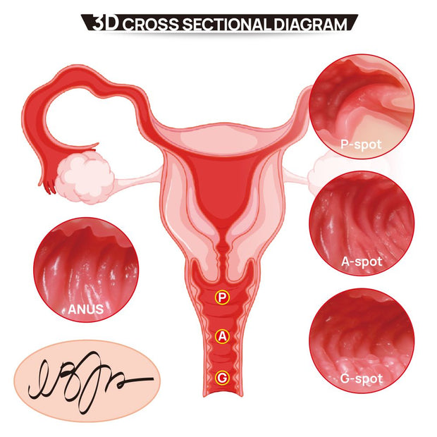 Kokos - 004 Vanilla Onahole Real Hips Double Layer