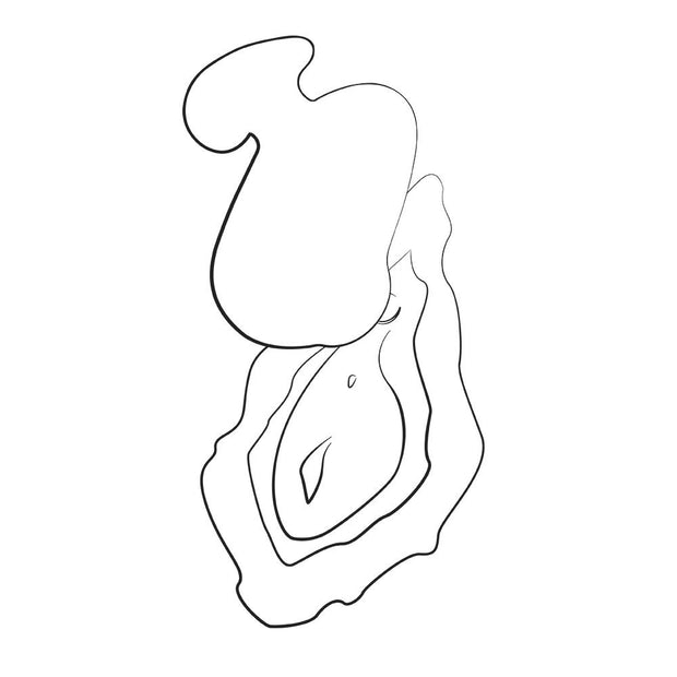 ROMP by Womanizer - Kiss Kompakter Vibrator