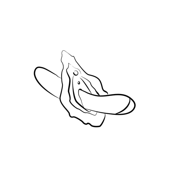 ROMP by Womanizer - Hype G-Punkt-Vibrator