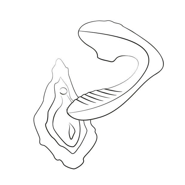 ROMP by Womanizer - Reverb Double Pleasure 2 in 1