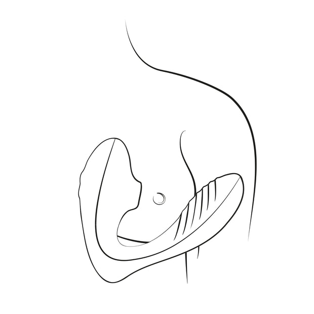 ROMP by Womanizer - Reverb Double Pleasure 2 in 1