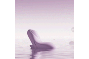 SVAKOM- Echo 2 Fingervibrator - Pink Lilac