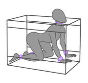 Secretdome – LA NICHE – Lila