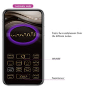 PRETTY LOVE - ELVIRA PINK WIEDERAUFLADBARE VIBRIERBLLE