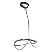 CALEXOTICS - EUPHORIA KETTENHALFTERHALSBAND UND LEINE
