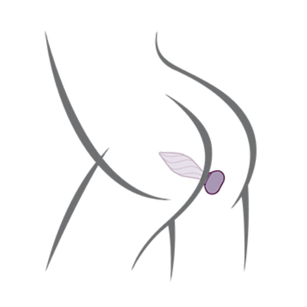 ROCKS-OFF - PETITE SENSATIONS DESIRE ANAL PLUG MIT SCHWARZER FERNBEDIENUNG