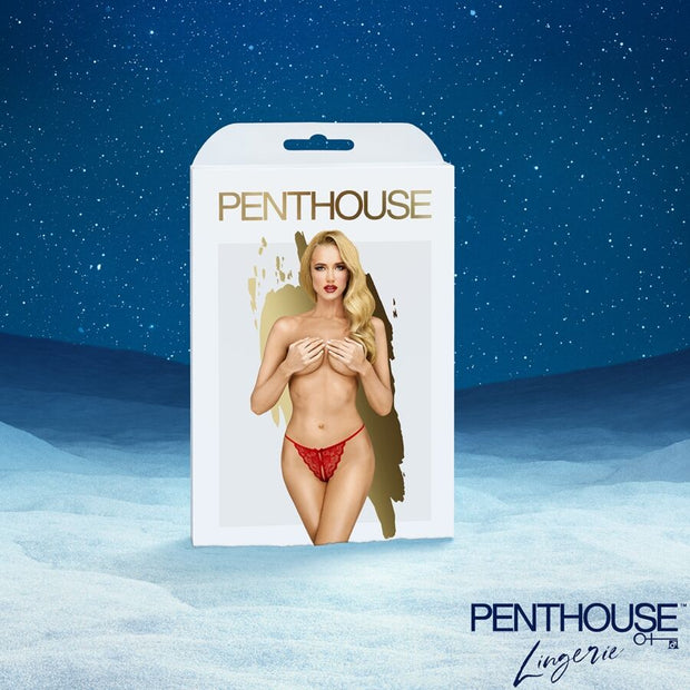 SATISFYER - PREMIUM ADVENTSKALENDER 2025