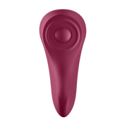 SATISFYER - SEXY SECRET PANTY
